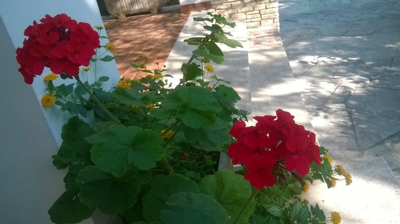 B&B Il Villino Торре-дель-Орсо Екстер'єр фото